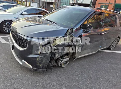 2026, Kia / Carnival, 3072 км., hybrid, 1600 куб.см.