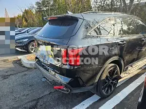2021, Kia / Sorento, VIN: KNARM81FHNA116681, 53344 км., gas