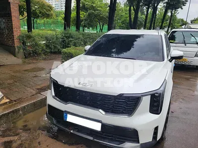 2024, Kia / Sorento, VIN: KNARJ81FGRA279098, 14666 км., gas, 2497 куб.см.