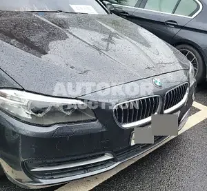 2015, BMW / 520, 223000 км., diesel