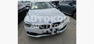 2018, BMW / 320, 52811 км., diesel, 1995 куб.см.