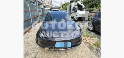 2025, Tesla / Model 3, electric, 180 куб.см.