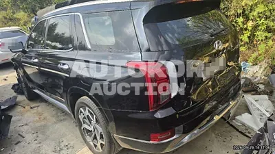 2020, Hyundai / Palisade, 130000 км., gas, 3800 куб.см.