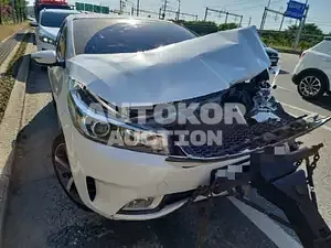 2017, BMW / Z1, VIN: KNAFX412BHA713408, 80000 км., gas