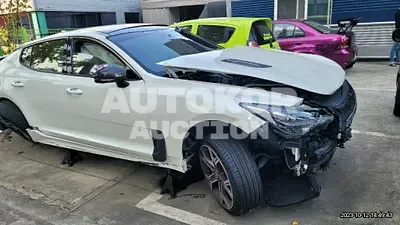 2020, Kia / Stinger, VIN: KNAE751CDLS076665, gas