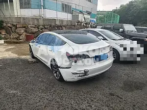 2022, Tesla / Model 3, electric, 236 куб.см.