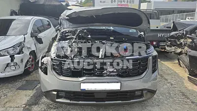2026, Kia / Carnival, VIN: KNANE81ABTS226419, 2013 км., hybrid, 1598 куб.см.