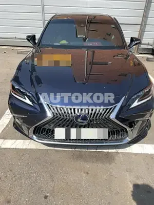 2020, Lexus / ES 300, VIN: JTHB21B13L2083185, 60000 км., hybrid