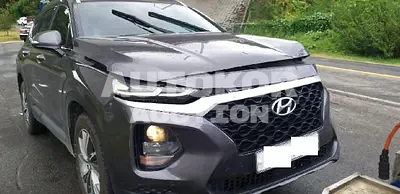2019, Hyundai / Santa FE, VIN: KMHS281CBKU066792, diesel