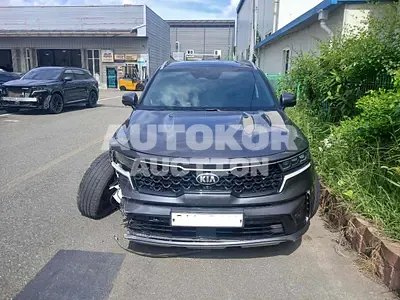2020, Kia / Sorento, VIN: KNARF81BGMA004946, 170000 км., diesel, 2151 куб.см.