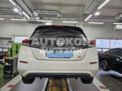 2019, Nissan / Leaf, 93353 км., electric