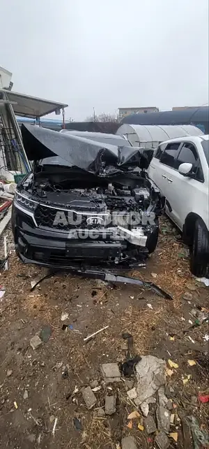 2021, Kia / Sorento, VIN: KNARK81FHMA073308, gas