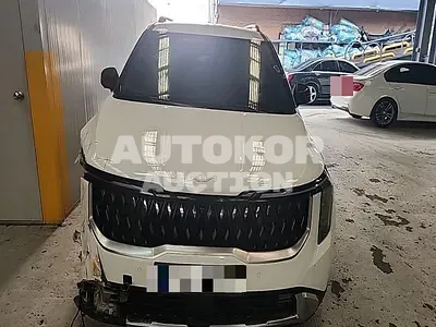 2023, Kia / Carnival, VIN: KNANE81ABRS000869, 51389 км., hybrid, 1600 куб.см.