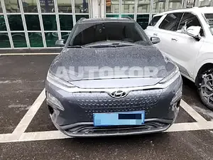 2019, Hyundai / Kona, VIN: KMHK381GFKU038989, 110000 км., electric, 180 куб.см.