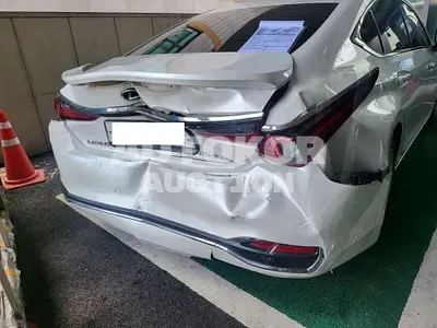 2019, Lexus / ES 300, VIN: JTHB21B10K2039479, 49824 км., hybrid