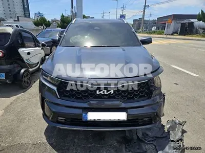 2023, Kia / Sorento, VIN: KNARKS1BGPA196110, diesel, 2200 куб.см.