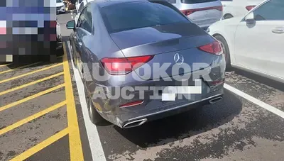 2019, Mercedes-Benz / CLS 400, 123729 км., diesel, 2925 куб.см.