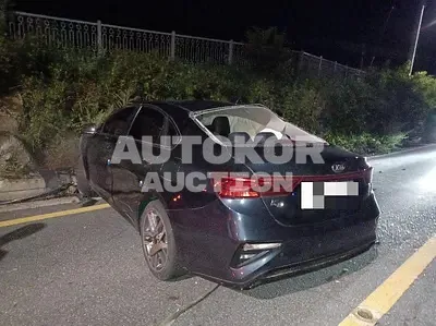 2019, BMW / Z1, 58500 км., gas