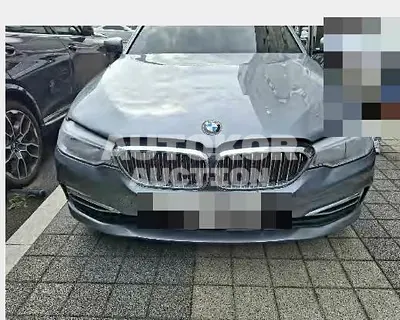 2018, BMW / 530, 50132 км., gas, 1998 куб.см.