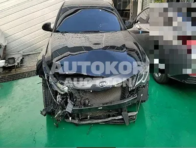 2019, BMW / B5, gas, 1999 куб.см.
