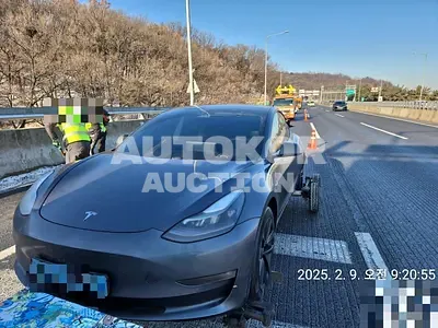 2021, Tesla / Model 3, electric
