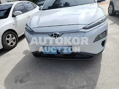 2019, Hyundai / Kona, VIN: KMHK381GFKU043362, 40061 км., electric