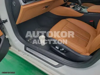 2019, BMW / 520, VIN: WBAJK7106KBP74425, gas