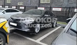 2019, Toyota / Camry, VIN: JTNB21HK8K3051211, 33788 км., hybrid