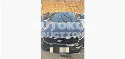 2020, Kia / Sorento, 172669 км., diesel, 2151 куб.см.