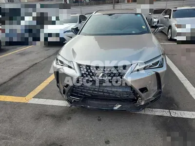 2019, Lexus / UX 250, hybrid
