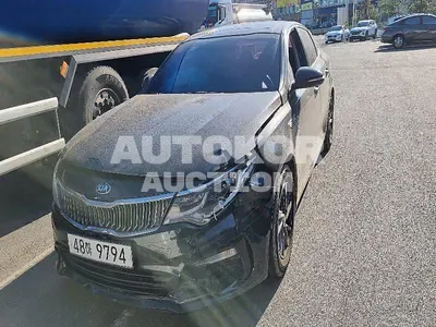 2019, Kia / K5, VIN: 250KNAGT415GKA257, 115313 км., diesel