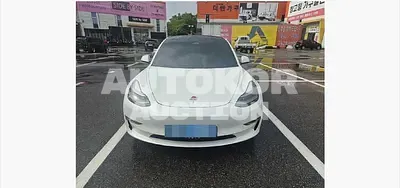 2021, Tesla / Model 3, 120000 км., electric, 236 куб.см.