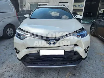 2018, Toyota / RAV4, VIN: JTMDJREV9JD181620, 87951 км., hybrid