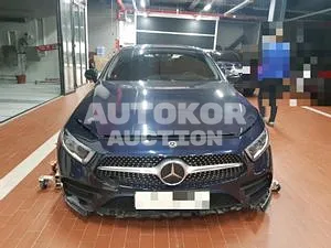 2019, Mercedes-Benz / CLS 450, VIN: WDD2J5KB4KA018523, 22486 км., gas