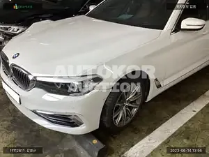 2019, BMW / 520, VIN: WBAJK7109KBP73513, gas