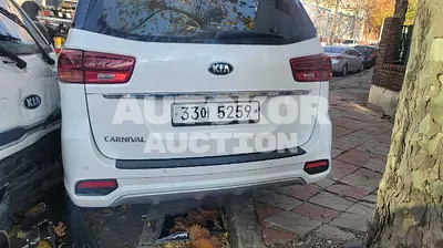 2019, Kia / Carnival, VIN: KNAME81ABKS473833, diesel