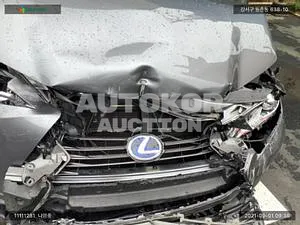 2016, Lexus / ES 300, VIN: JTHBW1GG1H2139357, 53291 км., hybrid