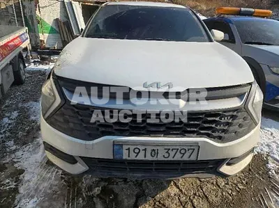2023, Kia / Sportage, 167096 км., diesel, 2000 куб.см.