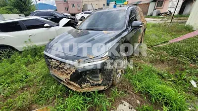 2019, Hyundai / Santa FE, VIN: KMHS281CBKU050652, diesel