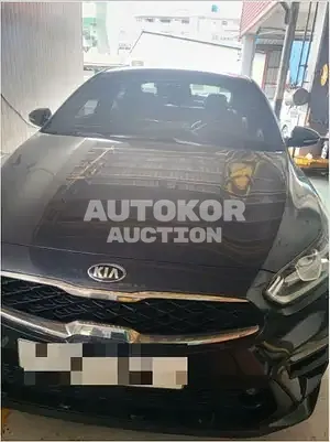 2018, BMW / Z1, 160219 км., gas, 1598 куб.см.