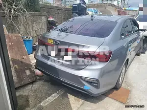 2019, BMW / Z1, VIN: KNAF241BEKA849203, 70000 км., gas