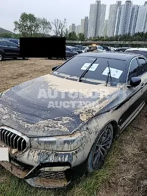 2020, BMW / 520, 13000 км., gas, 1998 куб.см.