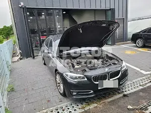 2016, BMW / 528, VIN: WBA5A5100GG180870, 190834 км., gas, 1997 куб.см.