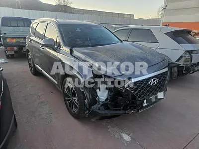 2019, Hyundai / Santa FE, VIN: KMHS381CDLU228815, 142432 км., diesel, 2200 куб.см.