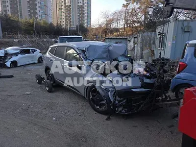 2025, Kia / Sportage, VIN: KNAPW81GBTK338882, hybrid, 1598 куб.см.