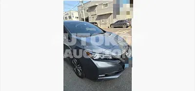 2019, Nissan / Leaf, 186726 км., electric, 110 куб.см.