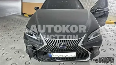 2021, Lexus / es300h, VIN: JTHBA1C10M2003666, 7385 км., hybrid