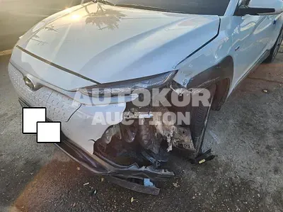 2019, Hyundai / Kona, VIN: KMHK381GFKU039767, electric