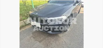 2017, BMW / 520, 172312 км., diesel, 1995 куб.см.