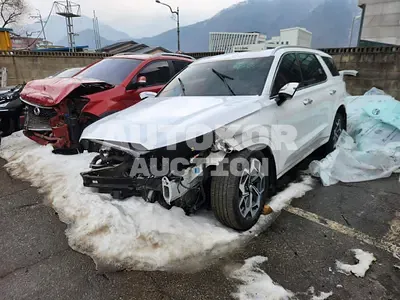 2021, Hyundai / Palisade, VIN: KMHR581EDMU248621, 58416 км., gas, 3778 куб.см.